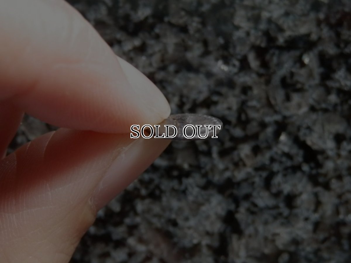 画像8: 古代ギリシャコイン(額装付き)　ブルッティウム・レギウム　前　銀貨　駆けるウサギ　鏡文字 (8)