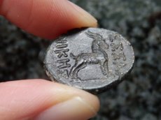 画像12: 古代ギリシャコイン　マケドニア　テッサロニキ　前１５８－前１４９年　銅貨　ディオニュソス神肖像　ヤギ (12)