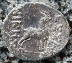ギリシャコイン　マケドニア・テッサロニキ　ブロンズ貨　デュオニソス神の肖像　ヤギ