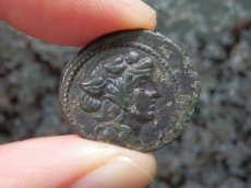 画像5: 古代ギリシャコイン　マケドニア　テッサロニキ　前１５８－前１４９年　銅貨　ディオニュソス神肖像　ヤギ (5)
