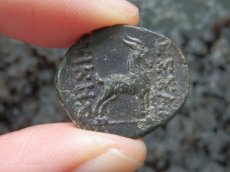 画像9: 古代ギリシャコイン　マケドニア　テッサロニキ　前１５８－前１４９年　銅貨　ディオニュソス神肖像　ヤギ (9)