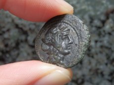 画像6: 古代ギリシャコイン　マケドニア　テッサロニキ　前１５８－前１４９年　銅貨　ディオニュソス神肖像　ヤギ (6)
