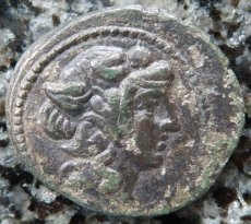 ギリシャコイン　マケドニア・テッサロニキ　ブロンズ貨　デュオニソス神の肖像　ヤギ