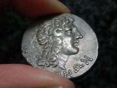画像7: 古代ギリシャコイン　マケドニア・テッサロニキ　テトラドラクマ銀貨　前1世紀　アレクサンダー大王の肖像　棍棒　 (7)