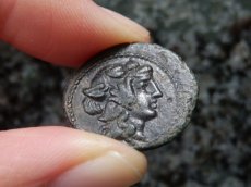 画像8: 古代ギリシャコイン　マケドニア　テッサロニキ　前１５８－前１４９年　銅貨　ディオニュソス神肖像　ヤギ (8)