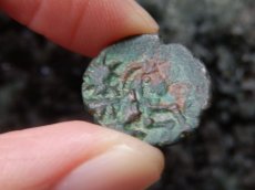 画像15: 古代ケルトコイン　(額装付き)　ガリア・ベロウァキー族　銅貨　前６０－前２５年　走る人　古代ケルト芸術 (15)