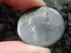 画像7: 古代ローマコイン　属州貨(マケドニア・フィリッピ)　アウグストゥス　ブロンズ貨　前２７－後14年　アウグストゥスの肖像　アウグストゥスとユリウス・カエサルの像 (7)