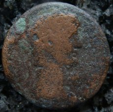 画像2: 古代ローマコイン　帝政期　クラウディウス　銅貨　４１－５４年　エジプト・アレクサンドリア発行　クラウディウス肖像　カバ (2)