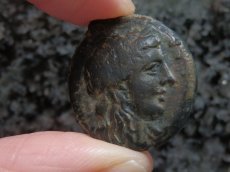 画像6: 古代ギリシャコイン　シチリア島　シラクサ　銅貨　前２８８－前２７９年　ペルセポネ　2頭立て戦車 (6)
