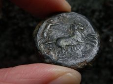 画像12: 古代ギリシャコイン　シチリア島　シラクサ　銅貨　前２８８－前２７９年　ペルセポネ　2頭立て戦車 (12)
