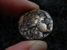 画像8: 古代ギリシャコイン　マケドニア・テッサロニキ　銅貨　前１５８－前１４９年　ディオニソス神肖像　ヤギ (8)