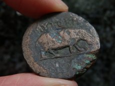 画像11: 古代ローマコイン　帝政期　クラウディウス　銅貨　４１－５４年　エジプト・アレクサンドリア発行　クラウディウス肖像　カバ (11)