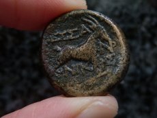 画像9: 古代ギリシャコイン　マケドニア・テッサロニキ　銅貨　前１５８－前１４９年　ディオニソス神肖像　ヤギ (9)