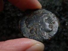 画像8: 古代ギリシャコイン　シチリア島　シラクサ　銅貨　前２８８－前２７９年　ペルセポネ　2頭立て戦車 (8)