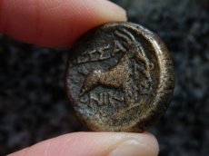 画像10: 古代ギリシャコイン　マケドニア・テッサロニキ　銅貨　前１５８－前１４９年　ディオニソス神肖像　ヤギ (10)
