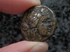 画像6: 古代ギリシャコイン　マケドニア・テッサロニキ　銅貨　前１５８－前１４９年　ディオニソス神肖像　ヤギ (6)