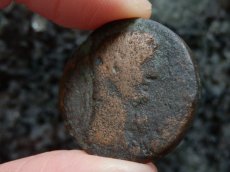 画像5: 古代ローマコイン　帝政期　クラウディウス　銅貨　４１－５４年　エジプト・アレクサンドリア発行　クラウディウス肖像　カバ (5)