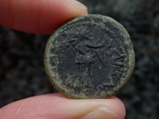 画像8: 古代ローマコイン　属州貨(トラキア王国・ロエメタルケス3世)　38-46年　ブロンズ貨　カリグラの肖像　リースとシュロを持つニケ (8)