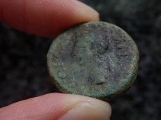 画像7: 古代ローマコイン　属州貨(トラキア王国・ロエメタルケス3世)　38-46年　ブロンズ貨　カリグラの肖像　リースとシュロを持つニケ (7)