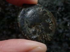 画像7: 古代ギリシャコイン　シチリア島　シラクサ　銅貨　前２８８－前２７９年　ペルセポネ　2頭立て戦車 (7)