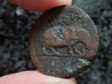 画像9: 古代ローマコイン　帝政期　クラウディウス　銅貨　４１－５４年　エジプト・アレクサンドリア発行　クラウディウス肖像　カバ (9)