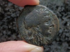 画像5: 古代ギリシャコイン　シチリア島　シラクサ　銅貨　前２８８－前２７９年　ペルセポネ　2頭立て戦車 (5)