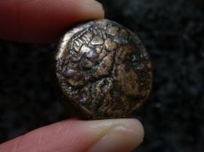画像7: 古代ギリシャコイン　マケドニア・テッサロニキ　銅貨　前１５８－前１４９年　ディオニソス神肖像　ヤギ (7)