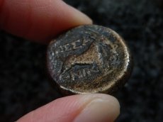 画像12: 古代ギリシャコイン　マケドニア・テッサロニキ　銅貨　前１５８－前１４９年　ディオニソス神肖像　ヤギ (12)