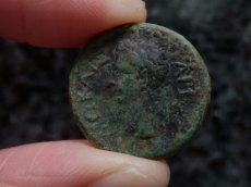 画像4: 古代ローマコイン　属州貨(トラキア王国・ロエメタルケス3世)　38-46年　ブロンズ貨　カリグラの肖像　リースとシュロを持つニケ (4)