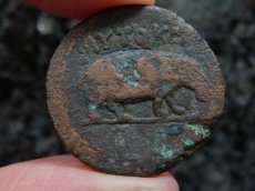 画像8: 古代ローマコイン　帝政期　クラウディウス　銅貨　４１－５４年　エジプト・アレクサンドリア発行　クラウディウス肖像　カバ (8)