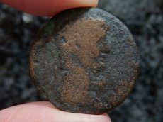 画像4: 古代ローマコイン　帝政期　クラウディウス　銅貨　４１－５４年　エジプト・アレクサンドリア発行　クラウディウス肖像　カバ (4)