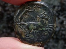 画像9: 古代ギリシャコイン　シチリア島　シラクサ　銅貨　前２８８－前２７９年　ペルセポネ　2頭立て戦車 (9)