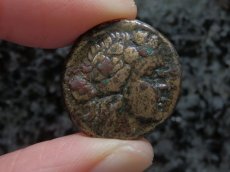 画像5: 古代ギリシャコイン　マケドニア・テッサロニキ　銅貨　前１５８－前１４９年　ディオニソス神肖像　ヤギ (5)