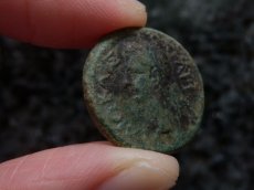 画像6: 古代ローマコイン　属州貨(トラキア王国・ロエメタルケス3世)　38-46年　ブロンズ貨　カリグラの肖像　リースとシュロを持つニケ (6)