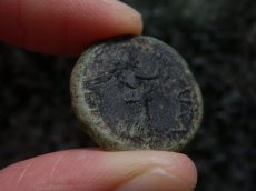 画像10: 古代ローマコイン　属州貨(トラキア王国・ロエメタルケス3世)　38-46年　ブロンズ貨　カリグラの肖像　リースとシュロを持つニケ (10)