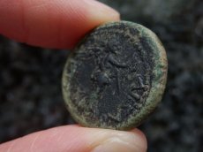 画像9: 古代ローマコイン　属州貨(トラキア王国・ロエメタルケス3世)　38-46年　ブロンズ貨　カリグラの肖像　リースとシュロを持つニケ (9)