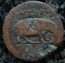 画像3: 古代ローマコイン　帝政期　クラウディウス　銅貨　４１－５４年　エジプト・アレクサンドリア発行　クラウディウス肖像　カバ (3)