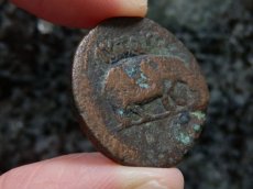 画像10: 古代ローマコイン　帝政期　クラウディウス　銅貨　４１－５４年　エジプト・アレクサンドリア発行　クラウディウス肖像　カバ (10)