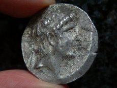 画像6: 古代ギリシャコイン　セレウコス朝シリア　セレウコス2世　前２４６－前２２６年　テトラドラクマ銀貨　セレウコス２世の肖像　トリポッドに肘をつく裸のアポロン  (6)