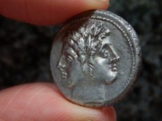 画像6: 古代ローマコイン　共和政期　クアドリガトゥス銀貨　前２２５-２１３年　第２次ポエニ戦争時にローマが発行した銀貨 (6)