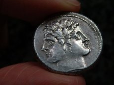 画像8: 古代ローマコイン　共和政期　クアドリガトゥス銀貨　前２２５-２１３年　第２次ポエニ戦争時にローマが発行した銀貨 (8)