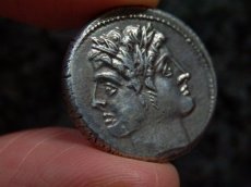 画像7: 古代ローマコイン　共和政期　クアドリガトゥス銀貨　前２２５-２１３年　第２次ポエニ戦争時にローマが発行した銀貨 (7)