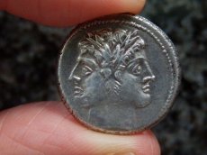 画像5: 古代ローマコイン　共和政期　クアドリガトゥス銀貨　前２２５-２１３年　第２次ポエニ戦争時にローマが発行した銀貨 (5)