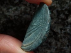 画像9: 古代ローマコイン　属州貨(ガリア・ヴィエンヌ)　前36年以降　半分に割られたアス銅貨　ユリウス・カエサルの肖像　ガレー船　カエサルの植民市ヴィエンヌの半分に割られたアス貨 (9)