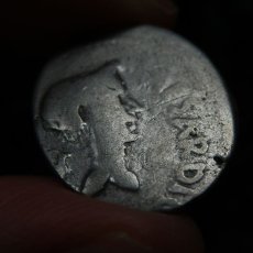 画像8: 古代ローマコイン　マルクス・アントニウス　前４３年　デナリウス銀貨　マルクス・アントニウスとユリウス・カエサルの肖像 (8)