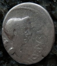 古代ローマコイン　マルクス・アントニウス　前４３年　デナリウス銀貨　マルクス・アントニウスとユリウス・カエサルの肖像