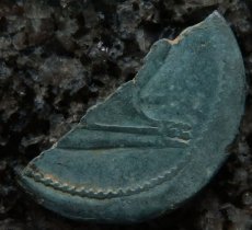 ローマコイン　属州貨(ガリア・ヴィエンヌ)　前36年以降　半分に割られたアス銅貨　ユリウス・カエサルの肖像　ガレー船　カエサルの植民市ヴィエンヌの半分に割られたアス貨