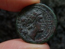 画像10: 古代ギリシャコイン　ブルッティウム　レギウム　前３５０－前２７０年　上から見たライオンの頭の毛皮　アポロン (10)