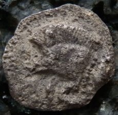 画像8: 古代ギリシャコイン(額装付き)　ミュシア地方　キュジコス　前４８０－前４５０年　オボル銀貨　イノシシとライオン (8)