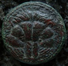 画像2: 古代ギリシャコイン　ブルッティウム　レギウム　前３５０－前２７０年　上から見たライオンの頭の毛皮　アポロン (2)